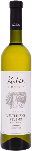 Veltlínské zelené - staré keře, Vinařství Kubík, Velké Bílovice (2025)